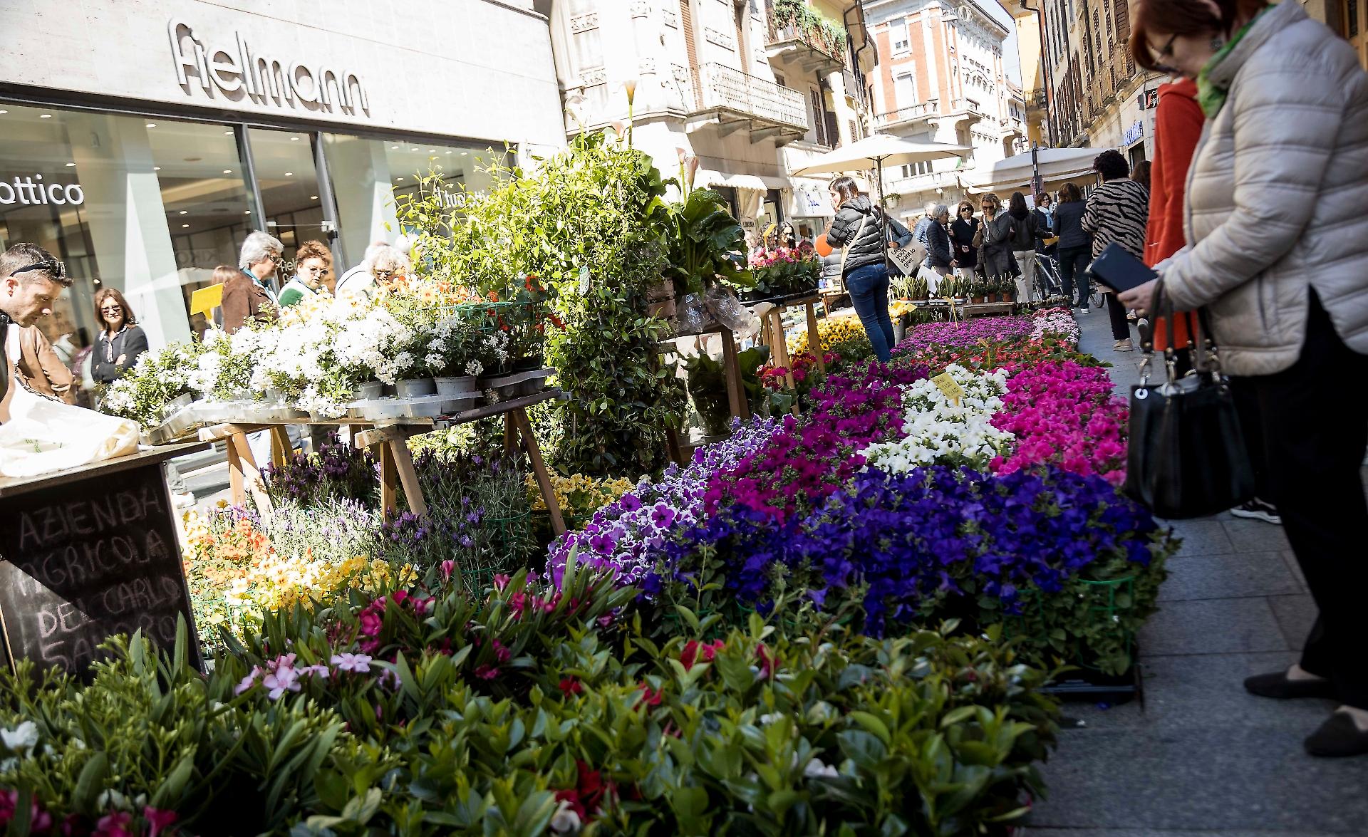 Mercato di Piante e Fiori
