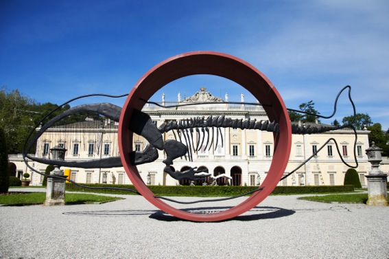 Sotto il segno della balena - Villa Olmo