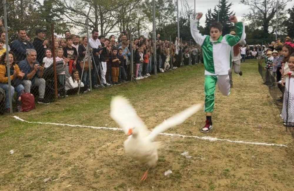 45° Palio del Papero di Balconevisi