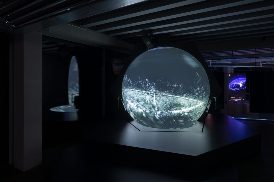 Mostra: Hito Steyerl. The Island