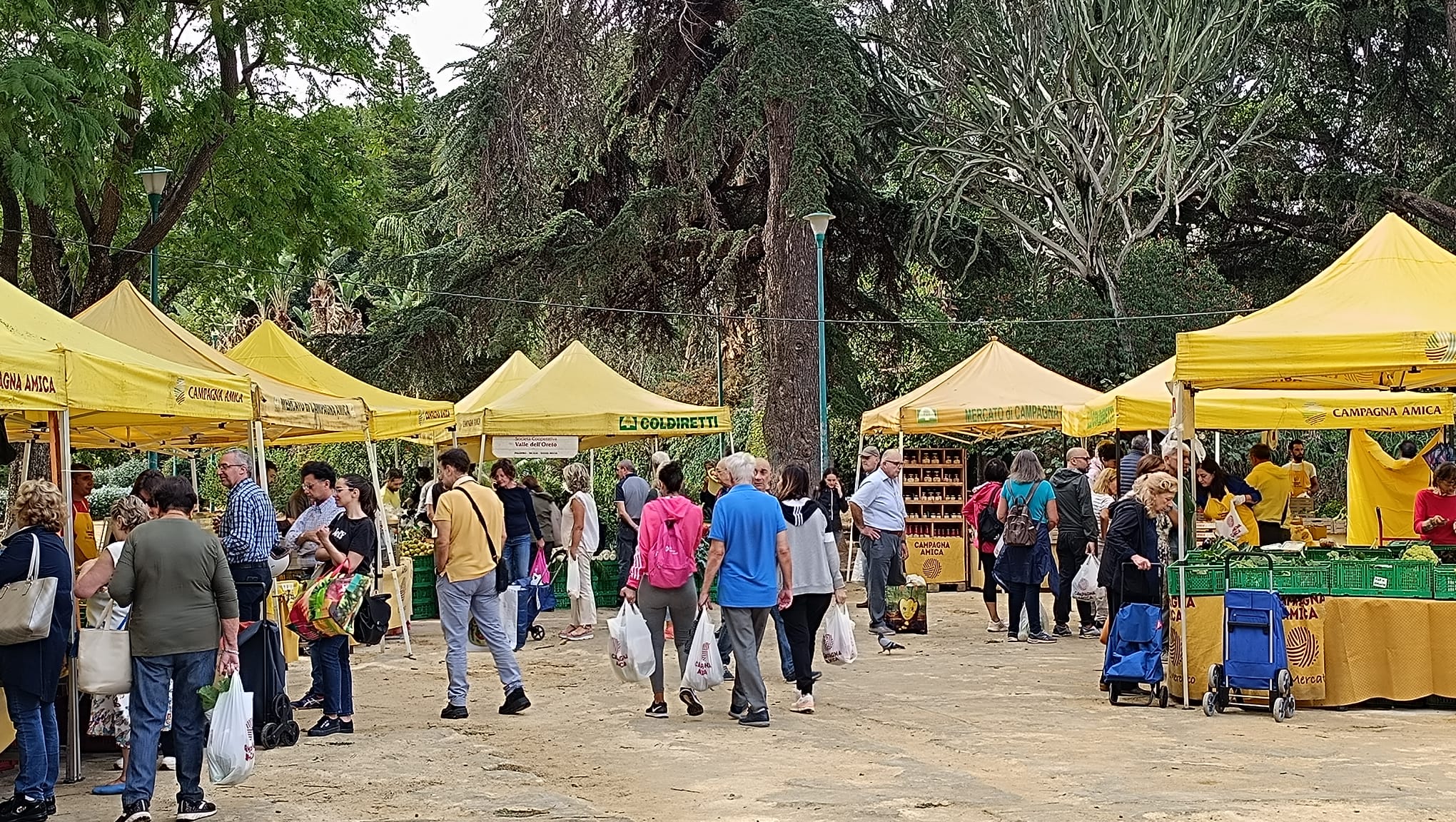 Mercato Contadino di Campagna Amica
