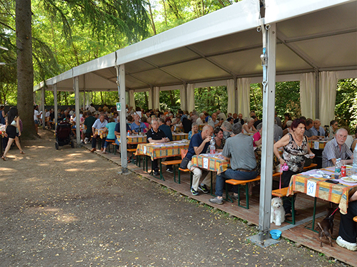 Festa di Ferragosto - Stand e Ballo