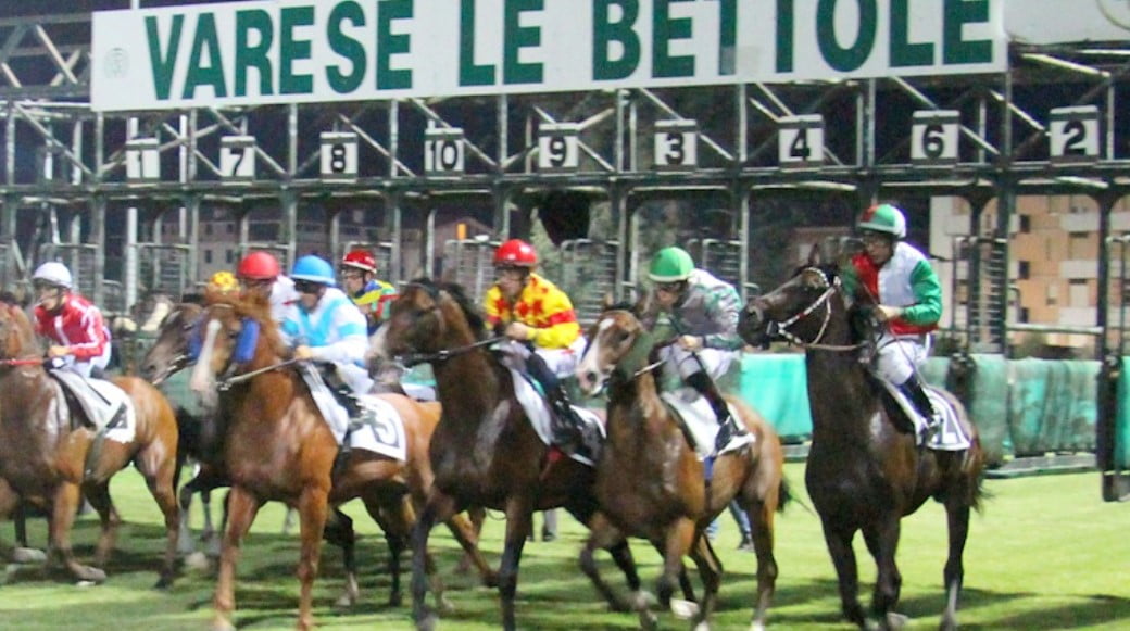 Galoppo di Fine Estate - Meeting Elite