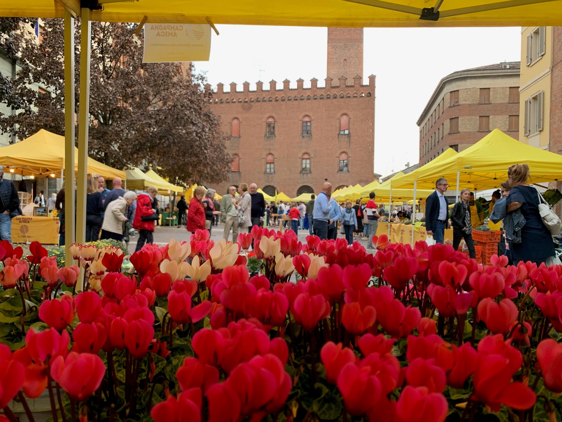 Campagna Amica in Piazza Stradivari