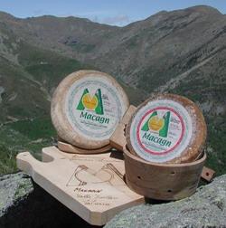 Sagra del Macagn