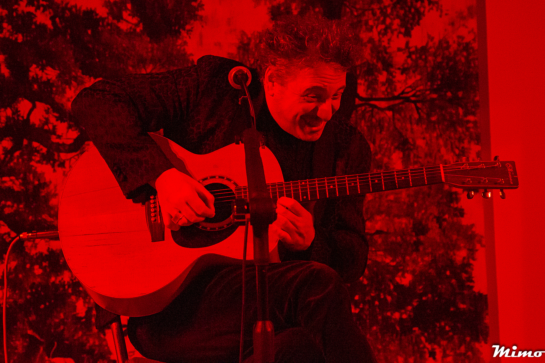 Concerto Live: Folco Orselli